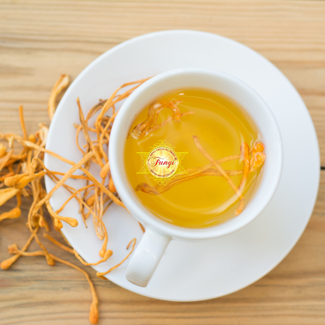 Đông trùng hạ thảo có nhiều tác dụng cho sức khỏe